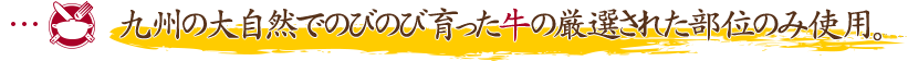 九州の大自然でのびのび育った牛の厳選された部位のみ使用