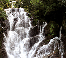 背振山系麓の天然水