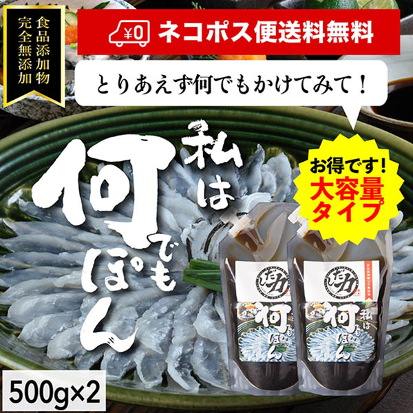 2本セット「だし力」何でもぽん(大)500g 食品添加物完全無添加【ネコポス便送料無料 】