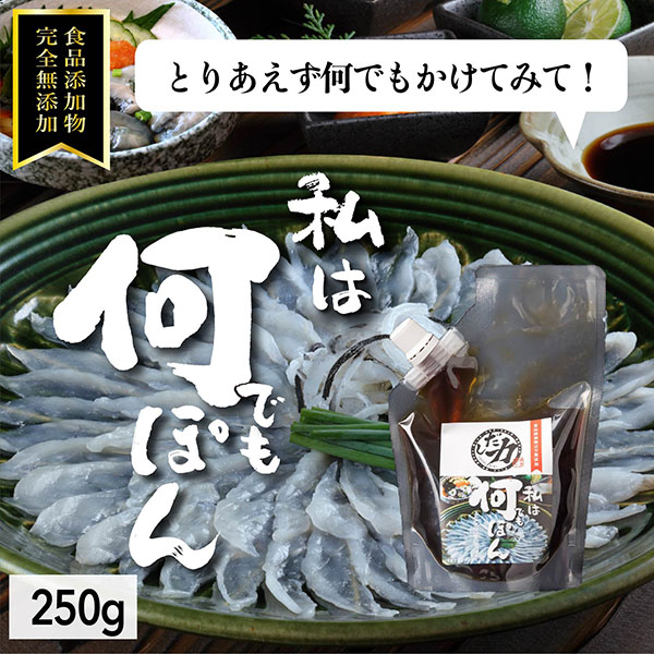 「だし力」何でもぽん(小)250g 食品添加物完全無添加【ネコポス便送料無料 】
